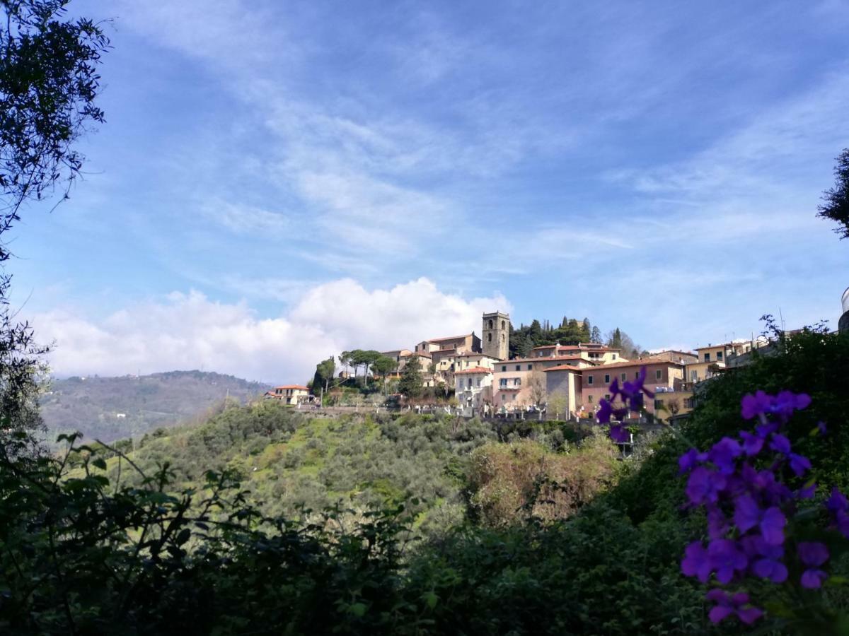 Casa Dalia Apartment Montecatini Terme Bagian luar foto